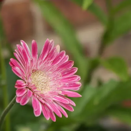 Vakantiehuis Crossing Whitby
