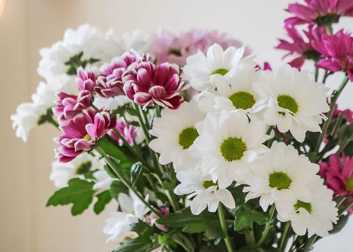 Crossing Holiday home *