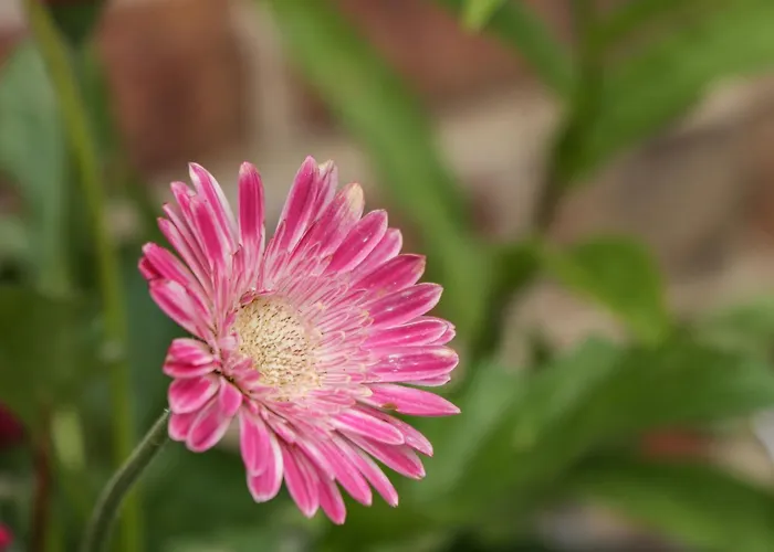 Holiday home Crossing Whitby